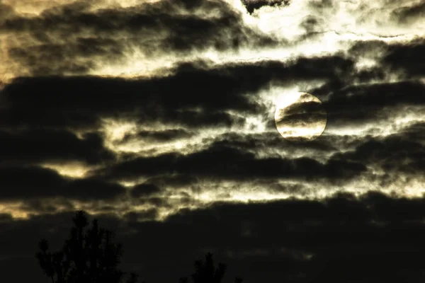 Ormanın yakınında sarı gün batımı