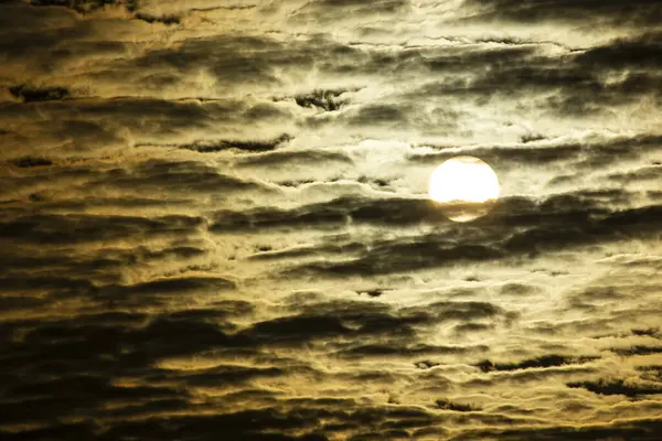 Ormanın yakınında sarı gün batımı