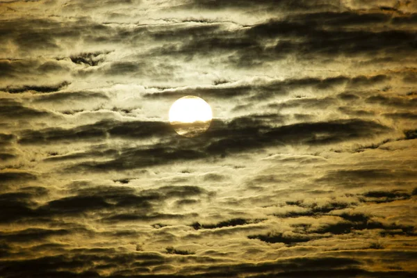 Ormanın yakınında sarı gün batımı