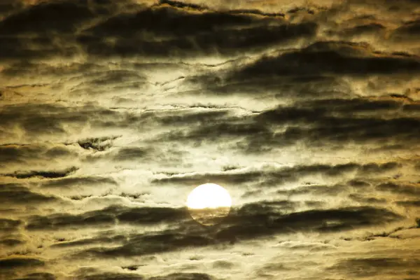 Ormanın yakınında sarı gün batımı