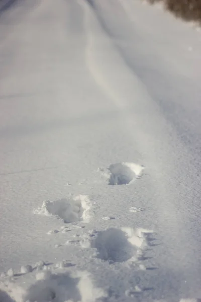 Deep human footprints on the white snow