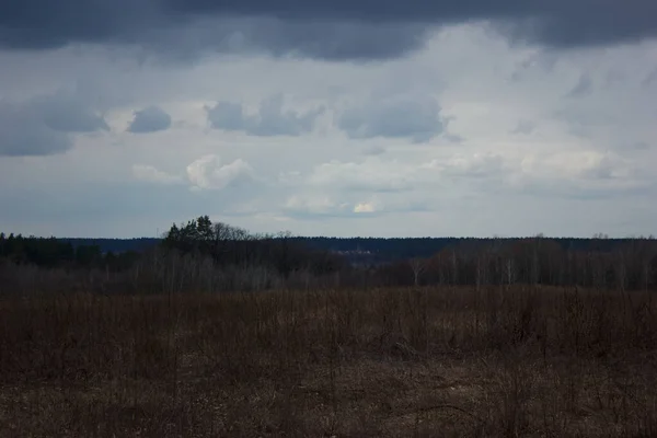 Thick dark blue clouds over the field