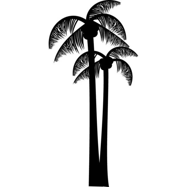 Silhouet Van Kokosbomen Zwarte Kleur — Stockvector
