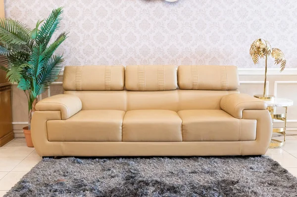 Langes Cremefarbenes Sofa Und Grauer Flauschiger Teppich — Stockfoto