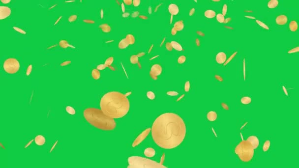 Guld Mynt Regnar Animation Med Isolerad Grön Skärm — Stockvideo