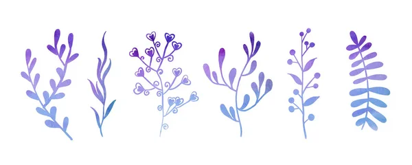 Beaux Fonds Neutres Avec Des Éléments Floraux Bannière Universelle Blanche — Image vectorielle