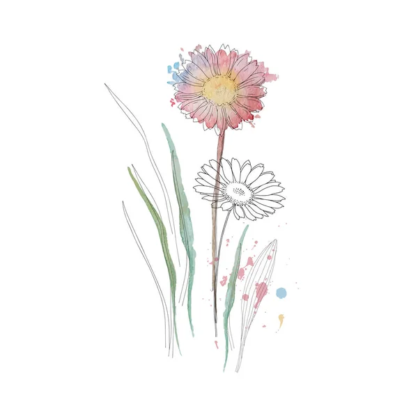 Στεγνό Μπουκέτο Λουλουδιών Γρασίδι Πλαίσιο Αγριολούλουδα Βότανα Περίγραμμα Βαμμένα Ακουαρέλα — Διανυσματικό Αρχείο
