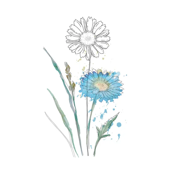 꽃다발 색으로 식물학적 요소들은 흰색에 분리되어 초대장 인쇄물 — 스톡 벡터