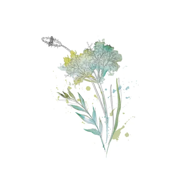 Στεγνό Μπουκέτο Λουλουδιών Γρασίδι Πλαίσιο Αγριολούλουδα Βότανα Περίγραμμα Βαμμένα Ακουαρέλα — Διανυσματικό Αρχείο
