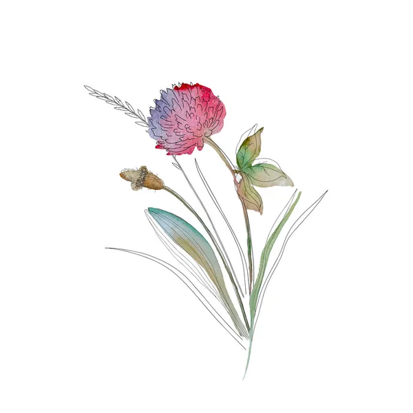 Ramo Floral Hierba Seca Marco Flores Silvestres Borde Hierbas Pintadas — Archivo Imágenes Vectoriales