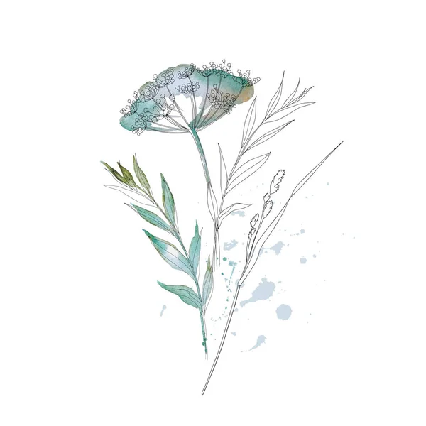 ドライグラスの花 水彩で描かれたハーブ 白色に隔離された植物要素 結婚式招待状挨拶カード印刷 — ストックベクタ