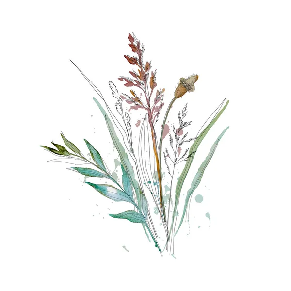 Getrocknetes Gras Blumenstrauß Rahmen Wildblumen Kräuterrand Aquarell Gemalt Botanische Boho — Stockvektor