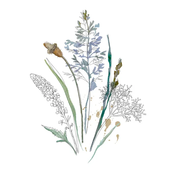 乾燥草の花の花束 フレーム 野生の花 ハーブの境界線の水彩画で描かれた 白色に隔離された植物性のBoho要素 結婚式招待状挨拶カード印刷 — ストックベクタ