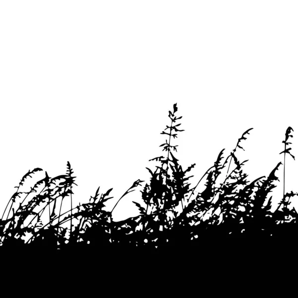 有花的单色青草 在白色背景上孤立的草丛轮廓边界轮廓 — 图库矢量图片