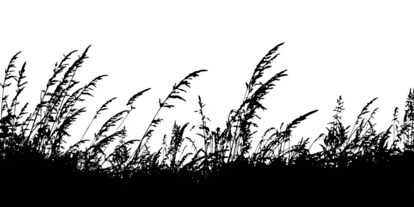 Монохромная Трава Цветами Силуэт Границы Травы Изолирован Белом Фоне Векторная — стоковый вектор
