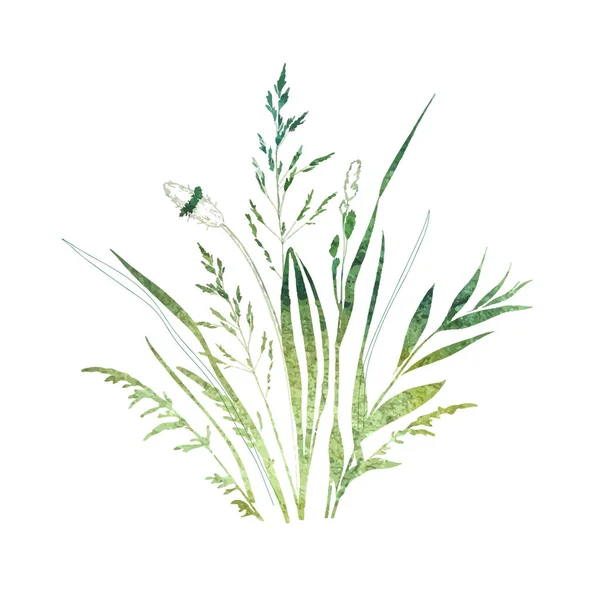 Getrocknetes Gras Blumig Wildblumen Kräuter Aquarell Gemalt Botanische Elemente Isoliert — Stockvektor
