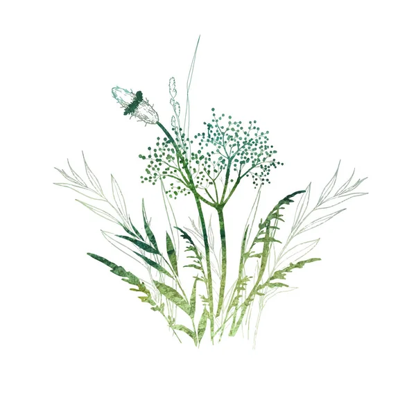 ドライグラスの花 水彩で描かれたハーブ 白色に隔離された植物要素 結婚式招待状挨拶カード印刷 — ストックベクタ