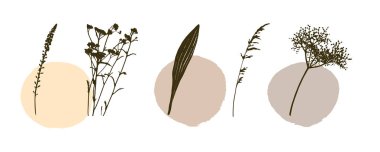 Siluetleri yerleştirin botanik çiçekli çiçek elementleri. Dallar, yapraklar, bitkiler, çiçekler, yabani bitkiler. Bahçe, çayır, alan toplama yaprağı, yeşillik vektörü illemesi modern arkaplan