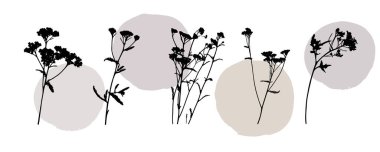 Siluetleri yerleştirin botanik çiçekli çiçek elementleri. Dallar, yapraklar, bitkiler, çiçekler, yabani bitkiler. Bahçe, çayır, alan toplama yaprağı, yeşillik vektörü illemesi modern arkaplan