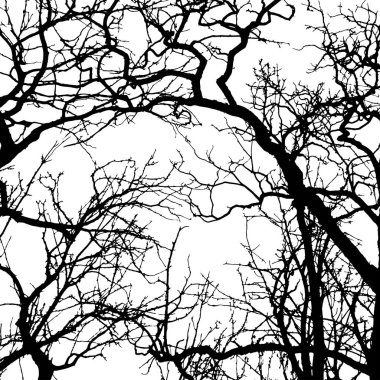 Ağaç silueti - beyaz arkaplanda ayrıntılı vektör