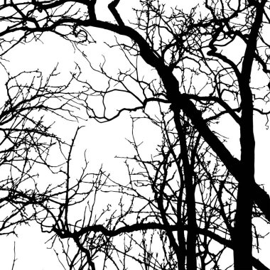 Ağaç silueti - beyaz arkaplanda ayrıntılı vektör