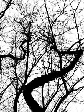 Soyut açık mavi suluboya arka plan için elle boyanmış. Arkaplan, başlık, broşür, poster, kart, kapak veya afiş dekoratif tasarımında bir element olarak kullanılan lekeli sanatsal vektör.