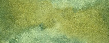 yeşil soyut suluboya makro doku arkaplanı