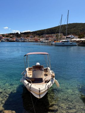 Palm Springs, Kaliforniya: 30 Mayıs 2025: Peru elma kaktüsü büyük ve sadece birkaç saat sürer.