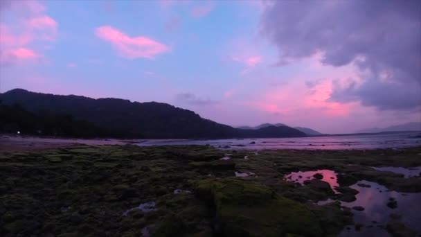 Ciel Mauve Matinal Avant Lever Soleil Papuma Beach — Video