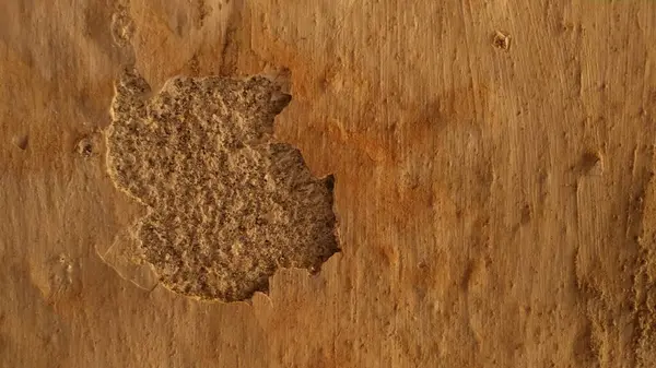 Dökümlü Duvar ve Soyulmuş Katmanlar. Farklı kabuk soyma katmanlarına sahip bir duvarın fotoğrafı, çeşitli tasarım projeleri için aşınma ve hasar belirtileri gösteren desenli ve yaşlandırılmış bir arkaplan sağlıyor.