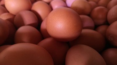 Odak Noktasında Tek Kahverengi Yumurta Yumuşak Doğal Işıkta Çevrilmiş Düzinelerce Yumurta. Diğer yumurtalarla çevrili keskin odak noktasında tek bir kahverengi yumurtayı vurgulayan yakın plan bir fotoğraf. Işıklandırma yumuşak dokusunu ve doğal görünümünü geliştirir. Yemek ve tarım için mükemmeldir.