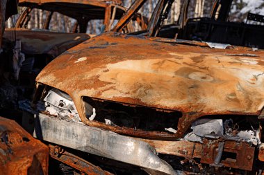 rusty car that burned at a scrapyard