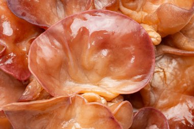 Kulak Mantarı 'nın ya da Arkaplan için Ağaç Kulak' ın yakın plan görüntüleri