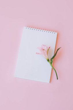 Boş sayfalı ve açık pembe arka planda pembe çiçekli bir defter. Düz yatıyordu. Metin için yer.