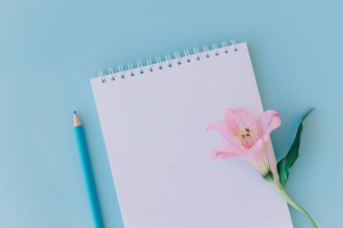 Boş sayfalı defter, açık mavi arka planda pembe çiçek ve kalem. Düz yatıyordu. Metin için yer.