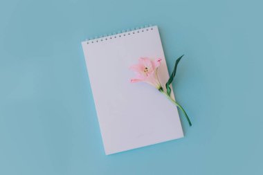 Boş sayfalı ve açık mavi arka planda pembe çiçekli bir defter. Düz yatıyordu. Metin için yer.