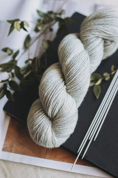 Skein Wool Yarn Knitting Needles Hand Knitting Concept Handmade Stockbild