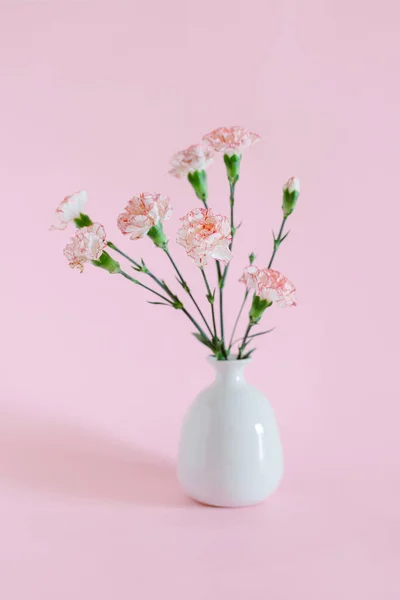 Beautiful pink Carnation flowers in a vase on a pink pastel background. Place for text.