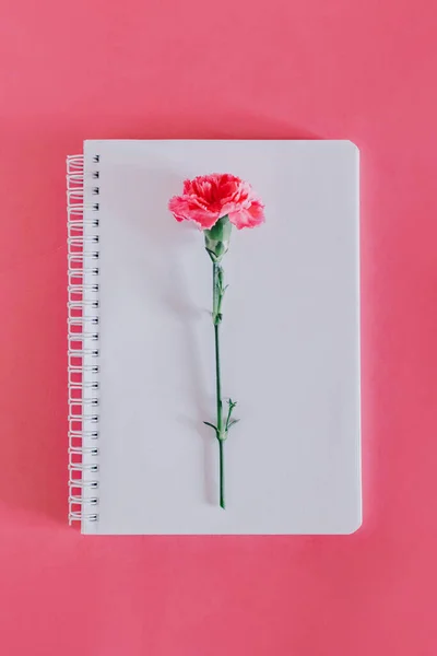 Beautiful pink Carnation flower and notebook on a bright pink background. Flat lay.
