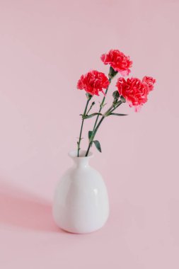 Beautiful pink Carnation flowers in a vase on a pink pastel background. Place for text.