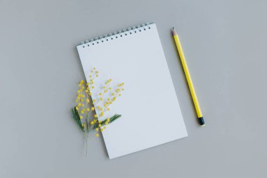 Notebook with blank page, mimosa flower and pencil on light grey background. Flat lay. Place for text.