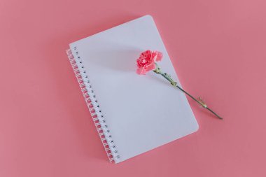 Beautiful pink Carnation flower and notebook on a bright pink background. Flat lay.
