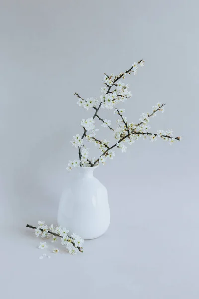 Piękne Gałęzie Kwiatów Białym Wazonie Szarym Tle Wiosna Minimalistyczna Koncepcja — Zdjęcie stockowe