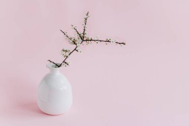 Pembe pastel arka planda beyaz bir vazoda güzel çiçek dalları. Bahar minimalist konsepti. Metin için yer.
