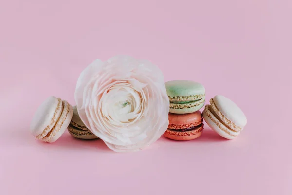 Lekkere Franse Macarons Met Mooie Bloem Een Roze Pastelachtergrond Plaats — Stockfoto