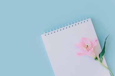 Boş sayfalı ve açık mavi arka planda pembe çiçekli bir defter. Düz yatıyordu. Metin için yer.