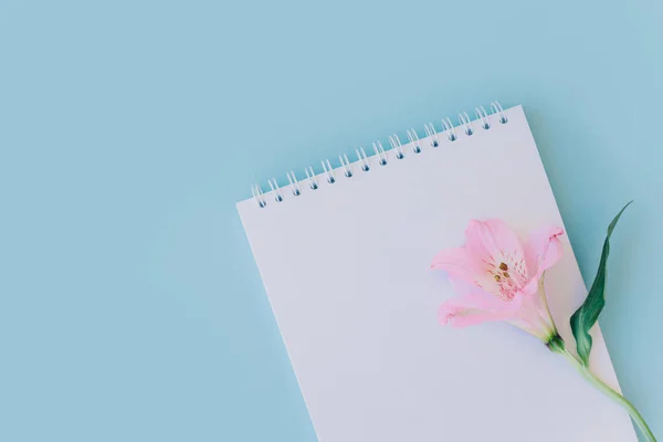 stock image Notebook with blank page and pink flower on light blue background. Flat lay. Place for text.