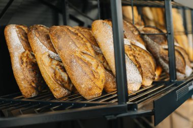 Geleneksel bir fırında leziz taze ekmek. Seçici odak.