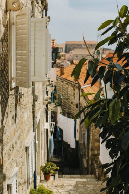 Amazing view of Dubrovnik old town in a sunny day. Travel destination in Croatia.