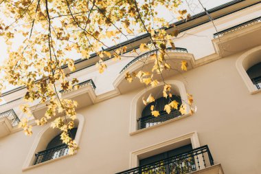 Binanın arka planında sarı yapraklı dallar var. Şehirde sonbahar..